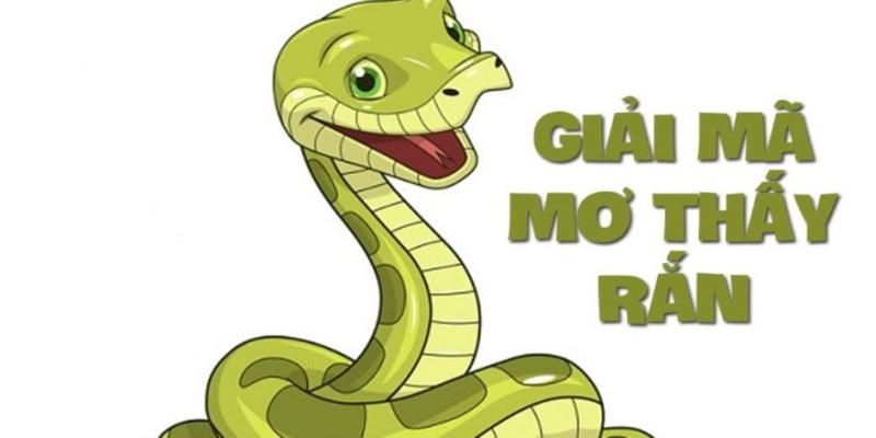 Giải mã chi tiết các ý nghĩa giấc mơ thấy rắn đuổi