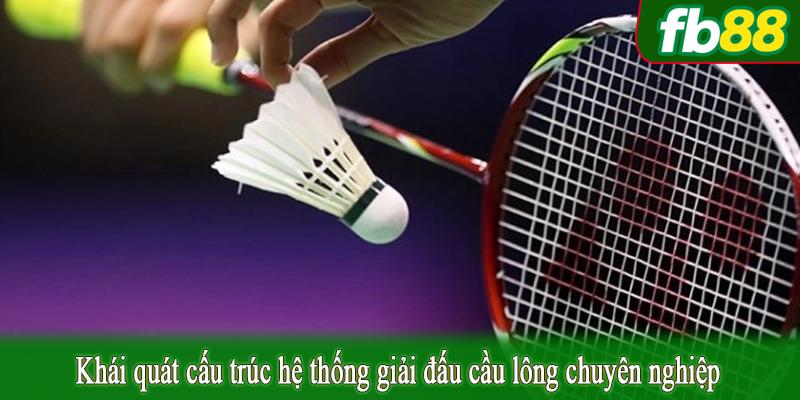 Khái quát cấu trúc hệ thống giải đấu cầu lông chuyên nghiệp