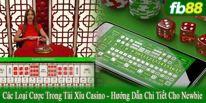 các loại cược trong tài xỉu casino