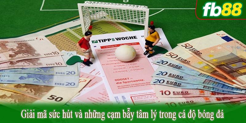 Giải mã sức hút và những cạm bẫy tâm lý trong cá độ bóng đá