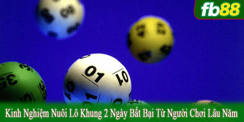 kinh nghiệm nuôi lô khung 2 ngày