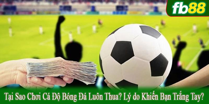 tại sao chơi cá độ bóng đá luôn thua