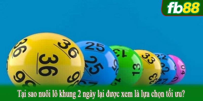 Tại sao nuôi lô khung 2 ngày lại được xem là lựa chọn tối ưu?