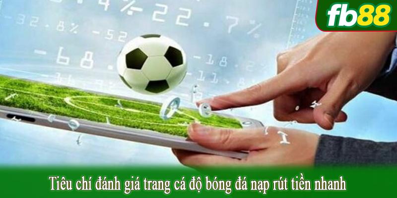 Tiêu chí đánh giá trang cá độ bóng đá nạp rút tiền nhanh