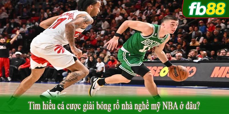 Tìm hiểu cá cược giải bóng rổ nhà nghề mỹ NBA ở đâu?