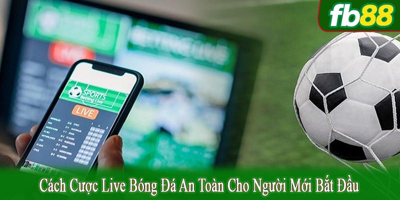 cách cược live bóng đá an toàn cho người mới bắt đầu