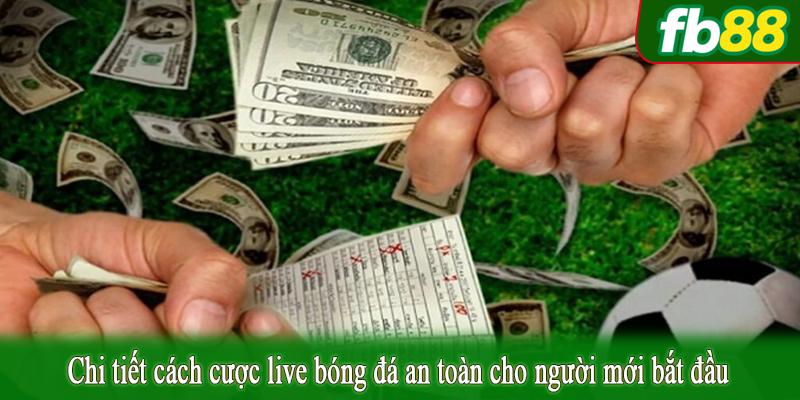 Chi tiết cách cược live bóng đá an toàn cho người mới bắt đầu